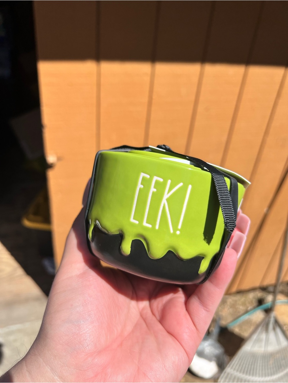 RAE DUNN EEK GREEN SLIME MEASURING CUPS